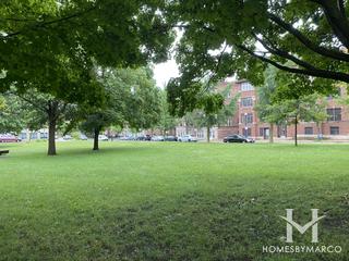 Grey Park in Evanston, IL