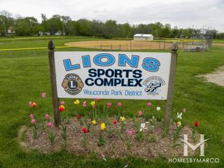 Photos of Lions Sports Complex in Wauconda, IL