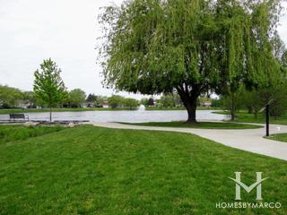 Dolphin Lake Park in Homewood, IL
