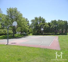Lovelace Park in Evanston, IL