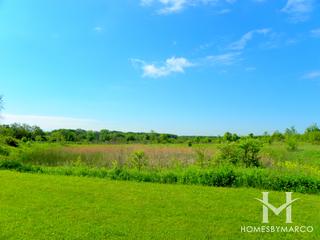 Trantina Farms Dog Park in Homer Glen, IL