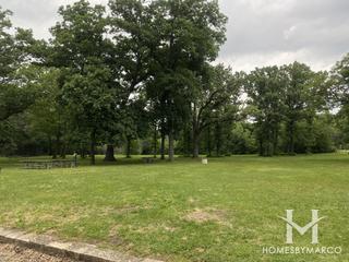 Paw Paw Forest Preserve in Willow Springs, IL