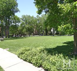 Ackerman Park in Evanston, IL
