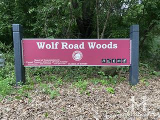 Paw Paw Forest Preserve in Willow Springs, IL