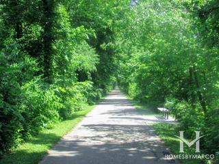 Hunters Woods Forest Preserve in Frankfort, IL
