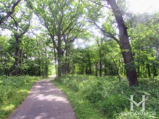 Sauk Trail Reservoir Forest Preserve in Frankfort, IL