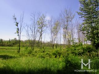 Sauk Trail Reservoir Forest Preserve in Frankfort, IL