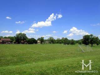 Michele Bingham Park in Frankfort, IL