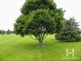 Somerset Park in Geneva, IL