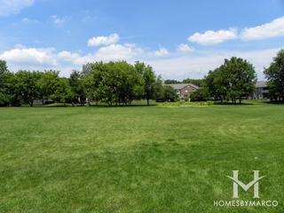 Williamsburg Park in Geneva, IL