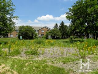 Williamsburg Park in Geneva, IL