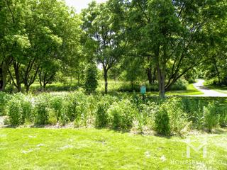 Sunrise Park in Geneva, IL