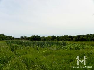 Gunnar Anderson Forest Preserve in Geneva, IL