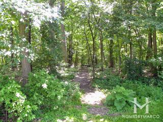 Elm Street Park in Geneva, IL