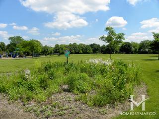 Eaglebrook Park in Geneva, IL
