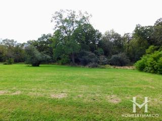 Deer Grove Forest Preserve in Barrington, IL