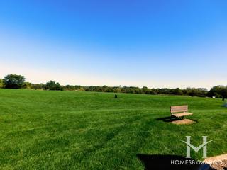 Ron Beese Park in Barrington, IL