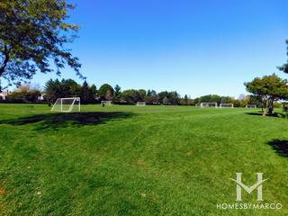 Ron Beese Park in Barrington, IL