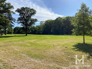Harms Woods Forest Preserve in Glenview, IL