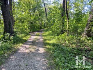 Harms Woods Forest Preserve in Glenview, IL