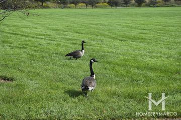 Gallery Park in Glenview, IL