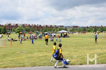 Gallery Park in Glenview, IL