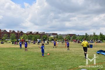 Gallery Park in Glenview, IL