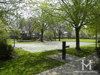 Ladendorf Park in Glenview, IL