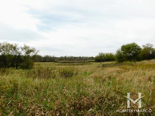 Bakers Lake Nature Preserve in Barrington, IL