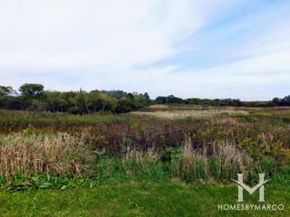 Bakers Lake Nature Preserve in Barrington, IL