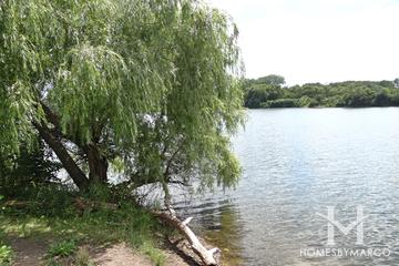 Lake Carina Forest Preserve in Gurnee, IL