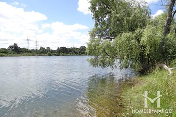 Lake Carina Forest Preserve in Gurnee, IL