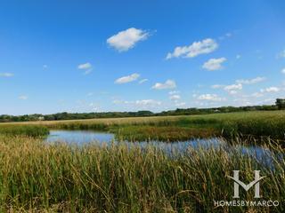 Tower Lakes Fen Nature Preserve in Barrington, IL