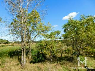 Tower Lakes Fen Nature Preserve in Barrington, IL