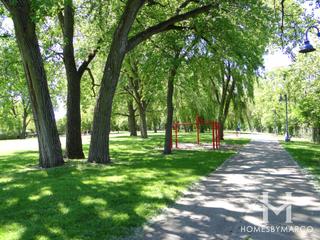 Beck Park in Evanston, IL