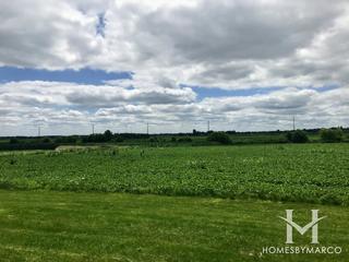 Muirhead Springs Forest Preserve in Hampshire, IL