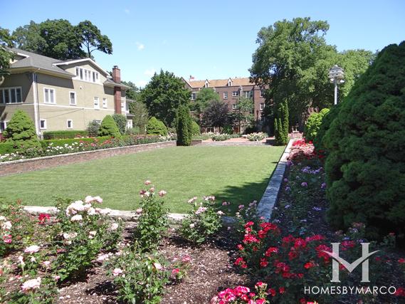 Merrick Rose Garden in Evanston, IL