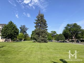 Memorial Building Grounds Park in Hinsdale, IL