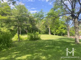 Brush Hill Area in Hinsdale, IL