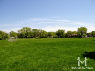 Woodborough Park in Homewood, IL