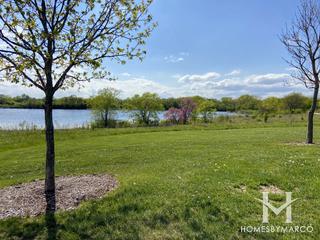 Photos of West Branch Forest Preserve in Bartlett, IL