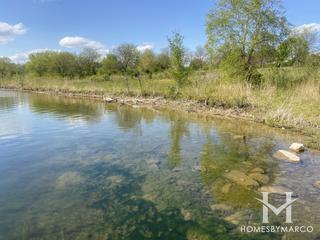 West Branch Forest Preserve in Bartlett, IL