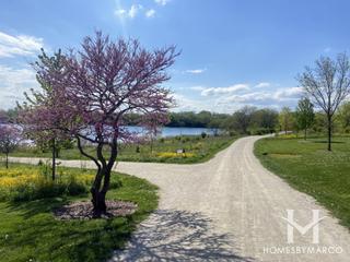 West Branch Forest Preserve in Bartlett, IL