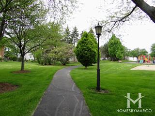 Pinewood Park in Homewood, IL