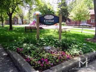 Photos of Cedar Park in Homewood, IL