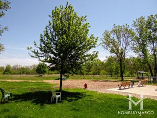 Rover's Run Dog Park in Homewood, IL
