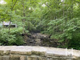 Black Partridge Woods Nature Preserve in Lemont, IL
