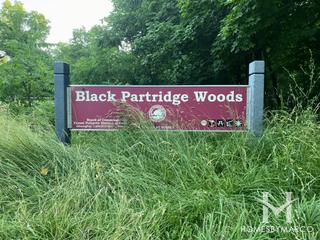 Photos of Black Partridge Woods Nature Preserve in Lemont, IL