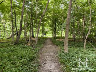 Black Partridge Woods Nature Preserve in Lemont, IL