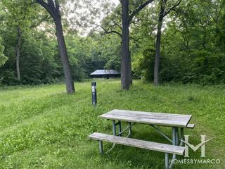 Black Partridge Woods Nature Preserve in Lemont, IL